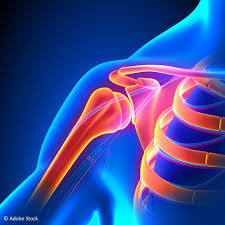 Επανορθωτικη Χειρουργική Ώμου-ΕΞΩΦΥΛΛΟ